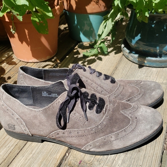Born Shoes - BORN wingtip oxford spectator taupe 8.5